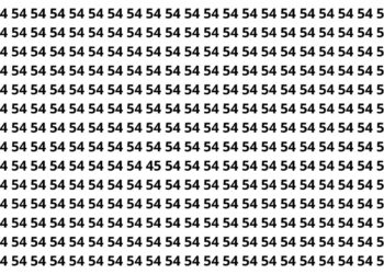 puzzle visual