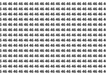 puzzle visual