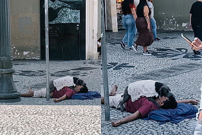“Voltei por ele”: homem emociona ao contar como cão o protege enquanto dorme