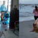 Após missão ao redor da Lua, astronauta volta para casa e emociona ao reencontrar sua cadela
