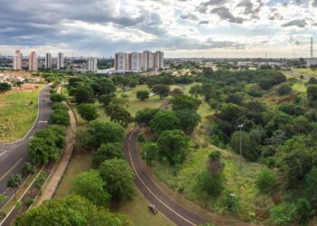 Ao lado de Paris e Toronto: as 3 cidades brasileiras com mais de 90% das ruas verdes que a ONU reconhece como referência mundial em arborização urbana
