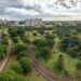 Ao lado de Paris e Toronto: as 3 cidades brasileiras com mais de 90% das ruas verdes que a ONU reconhece como referência mundial em arborização urbana