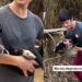 Cachorrinha resgatada com mais de 100 carrapatos mostra 5 sinais de superação