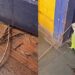 “Eu achava que era sujeira”: Fotógrafa nunca mais limpa sua porta após descobrir plano de ave