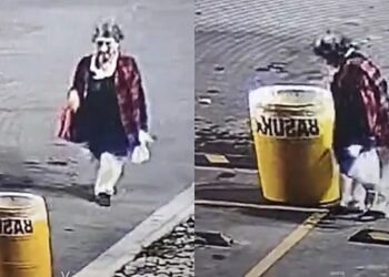 Ao passar por lixeira na rua, mulher escuta barulho estranho e encontra cachorrinho abandonado precisando de ajuda