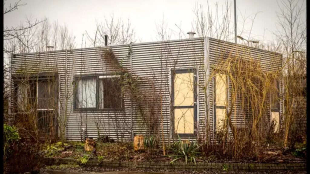 Aos 37 anos, fui morar em uma vila de tiny houses com meu filho; a infância dele é tão livre que continuamos lá há 7 anos