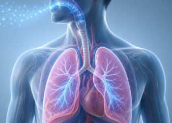 Como manter os pulmões saudáveis por mais tempo sem depender só de não fumar