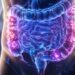 Intestino preso: 5 hábitos simples que ajudam a regular de forma natural e melhorar a digestão rapidamente