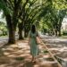 91% das ruas arborizadas e o maior aquário de água doce do mundo: a capital verde que é a 2ª melhor em qualidade de vida no Brasil
