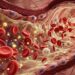 Inflamação no corpo pode ser controlada por nutrientes que circulam no sangue e a ciência explica como