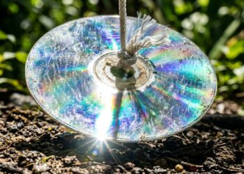 Como afastar passarinhos dos canteiros recém-plantados em menos de um minuto: truque caseiro eficaz pendurando CDs velhos