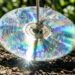 Como afastar passarinhos dos canteiros recém-plantados em menos de um minuto: truque caseiro eficaz pendurando CDs velhos