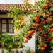 A fruta azedinha que marcou a infância dos nossos pais e pode ser plantada no canto do muro sem estourar o piso