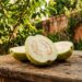 A fruta cheirosa que marcou a infância dos nossos pais e pode ser cultivada a partir de sementes no quintal de casa