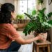 Adeus às plantas artificiais na sala: a nova tendência de design biofílico que vai dominar as casas em 2026