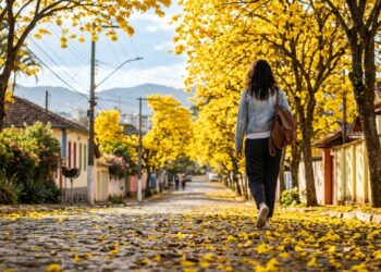 Essa cidade do interior de Minas tem a 5ª melhor qualidade de vida e se tornou referência em educação com quase 100% das crianças na escola