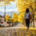 Essa cidade do interior de Minas tem a 5ª melhor qualidade de vida e se tornou referência em educação com quase 100% das crianças na escola