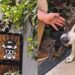 Ele não quis ver seu cão sofrer e construiu um elevador dentro de casa para ajudá-lo a viver melhor