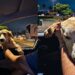 Cachorro ignora comida e surpreende casal ao tentar entrar no carro em busca de um lar