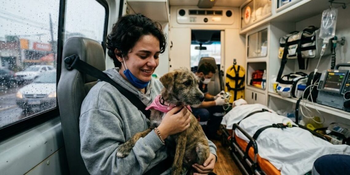 Cachorrinha invade ambulância e se recusa a deixar tutora em momento de desespero que emociona socorristas