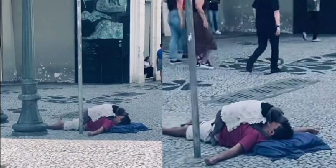 “Ele me salvou”: homem emociona ao dizer que seu cachorro foi o motivo para não desistir