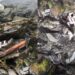 Cachorro desaparecido reencontra dono uma semana após cair de cachoeira de 55 metros