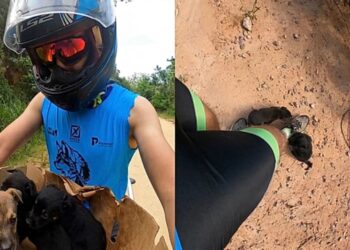 Atleta encontra três filhotes abandonados em trilha e toma decisão que muda tudo