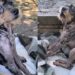 Ninguém queria esse cachorrinho até que um resgate mudou tudo de forma emocionante