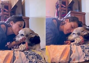 A lição mais bonita que uma tutora recebeu de sua cachorrinha idosa
