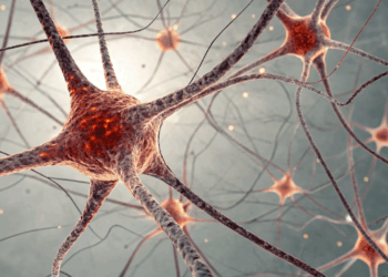 Cientistas revelam como o nosso cérebro reage sozinho ao Alzheimer