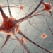 Cientistas revelam como o nosso cérebro reage sozinho ao Alzheimer