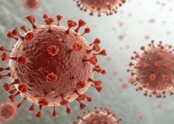 Cientistas descobrem anticorpo contra HIV que bloqueia o vírus e abre caminho para novos tratamentos