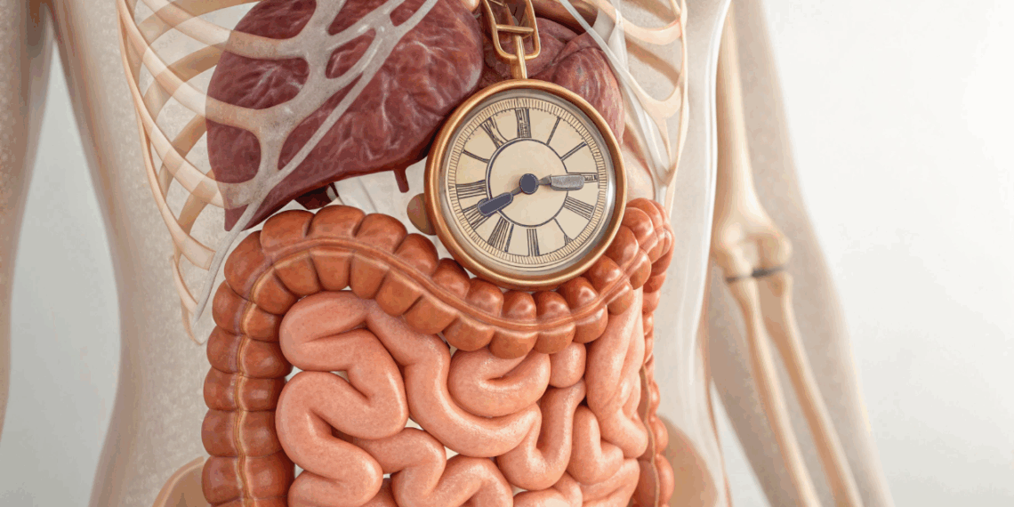Sua irritação e cansaço no dia a dia podem estar ligados ao ritmo do seu intestino