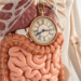 Sua irritação e cansaço no dia a dia podem estar ligados ao ritmo do seu intestino