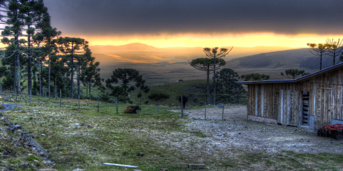 A cidade mais alta e fria do RS abriga o Pico Monte Negro de 1.403 metros e oito cânions na borda de Santa Catarina