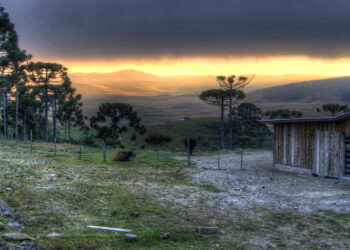 A cidade mais alta e fria do RS abriga o Pico Monte Negro de 1.403 metros e oito cânions na borda de Santa Catarina