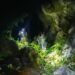 Cientistas encontram serpente em cavernas do Camboja que “enxerga” o calor das presas no escuro