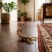 As cinco plantas que ajudam a afastar escorpiões de sua casa