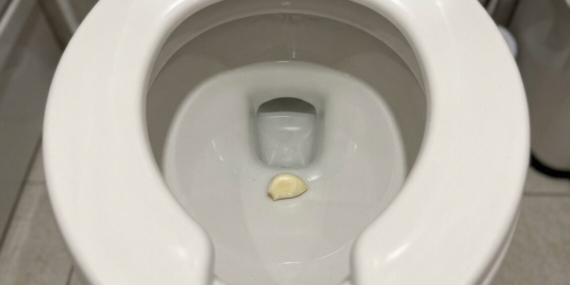 Colocar um dente de alho no vaso sanitário antes de dormir: para que serve e por que recomendam
