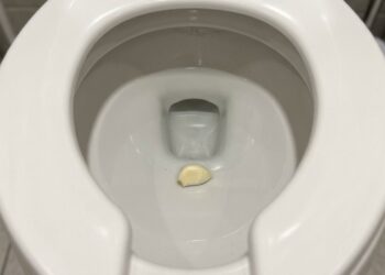 Colocar um dente de alho no vaso sanitário antes de dormir: para que serve e por que recomendam