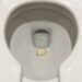 Colocar um dente de alho no vaso sanitário antes de dormir: para que serve e por que recomendam