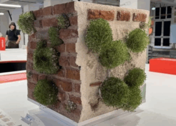 Eles quebram as leis naturais: criaram um material adesivo que transforma uma parede em um jardim