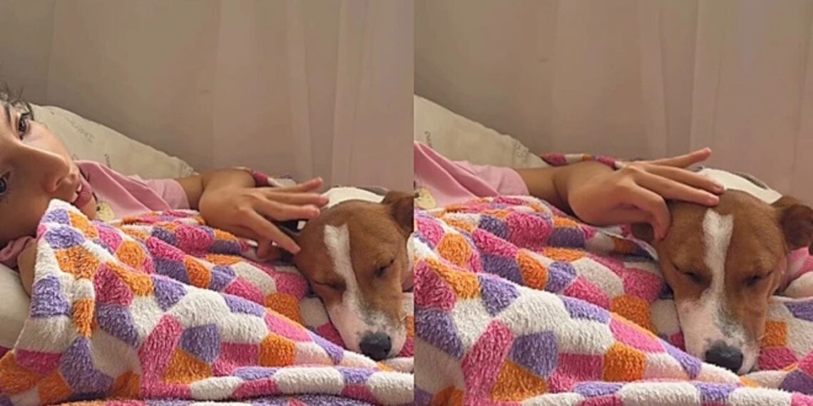 "Cadelinha Sky vira suporte emocional para menina que faz 3 terapias por dia"