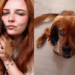 Cachorrinho com condição rara encanta ao passear pelas ruas de Gramado
