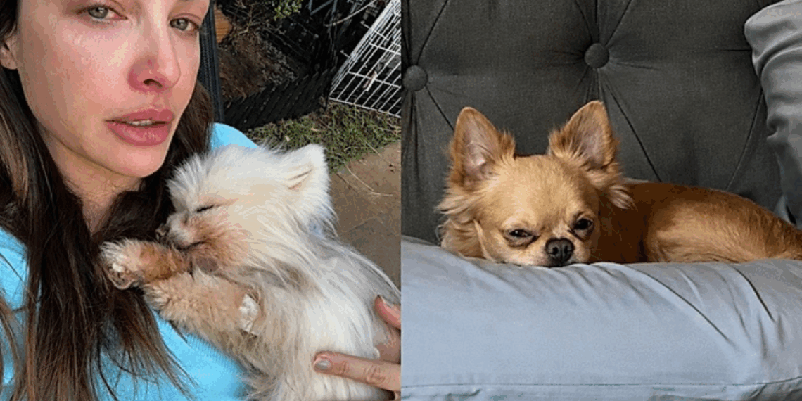 Influencer se emociona ao ver novo cão repetir gestos de pet que partiu