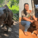 Policial resgata pitbull amarrada e emociona ao mostrar seu recomeço