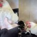 Sem a mamãe biológica, os cachorrinhos acharam colo onde ninguém esperava