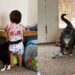 Descartada por ser agressiva, gata encontra nova família e emociona ao cuidar de bebê