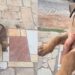 Cachorrinha apareceu no portão, entrou sem convite e mudou a vida de uma família