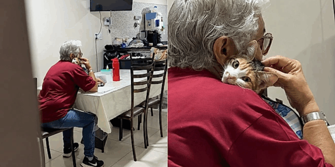 Mãe não gostava de gatos até adotar felina que virou “xodó” da família